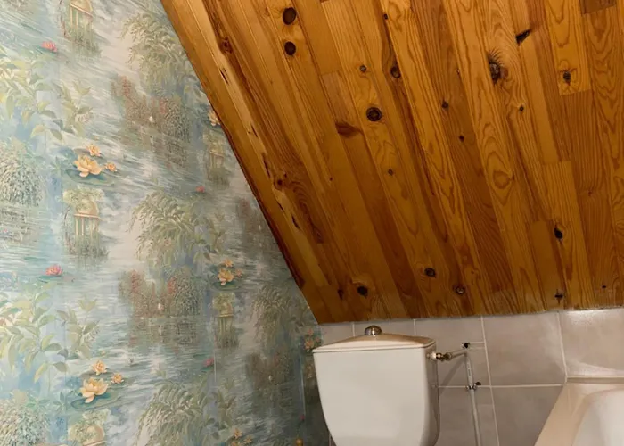 Le Domaine Belinay Landsted Paulhac (Cantal)